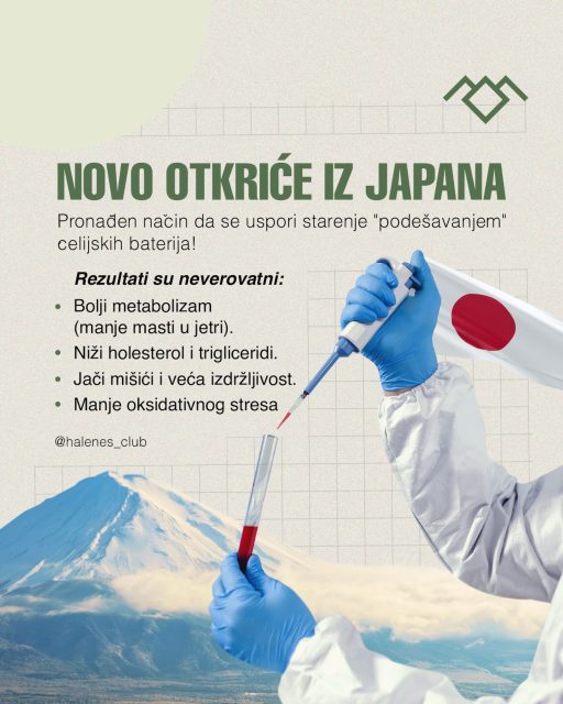 🔬 NOVO OTKRIĆE IZ JAPANA: Da li možemo usporiti starenje „podešavanjem” ćelijskih baterija?

Mitohondrije su poznate kao „elektrane” naših ćelija. Nova studija objavljena 19. decembra 2025. fokusirala se na protein COX7RP, koji pomaže mitohondrijama da se organizuju u tzv. respiratorne superkomplekse.

👉 Istraživanje je pokazalo da povećana ekspresija ovog proteina kod miševa dovodi do efikasnijeg energetskog metabolizma i poboljšanog zdravstvenog statusa.

Rezultati kod eksperimentalnih životinja uključivali su:
• produženje životnog veka za oko 6,6%
• poboljšan metabolizam i manje nakupljanje masti u jetri
• niže vrednosti holesterola i triglicerida
• bolju mišićnu funkciju i izdržljivost
• smanjen oksidativni stres

Važno: Studija je sprovedena na životinjskom modelu, što znači da su potrebna dodatna istraživanja kako bi se utvrdila primena kod ljudi.

📖 Izvor:
https://www.sciencedaily.com/releases/2025/12/251218060557.htm

Označi nekoga ko stalno priča o energiji, dugovečnosti ili biohackingu 👇

#nauka #dugovecnost #mitohondrije #istrazivanje #haleness