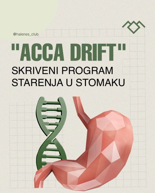 🧬 ACCA Drift – skriveni program starenja u našim crevima

Da li ste znali da se rizik od raka ne povećava s godinama samo zbog slučajnih grešaka u DNK?
Naučnici su otkrili da u našim crevima postoji specifičan, programiran proces koji dolazi sa starenjem.

📌 Istraživači iz Italije (Univerzitet u Torinu) i Nemačke identifikovali su fenomen nazvan ACCA drift (Aging- and Colon Cancer-Associated).
Reč je o epigenetskim promenama koje utiču na to kako se geni uključuju i isključuju tokom vremena.

Ove promene nisu slučajne.
One postepeno „pripremaju teren“ i čine tkivo podložnijim razvoju raka debelog creva.

🧪 Dobra vest: ovaj proces možda nije nepovratan.
U laboratorijskim uslovima, naučnici su uspeli da uspore ili delimično preokrenu ACCA drift ciljajući nivoe gvožđa i određene ćelijske signale.

✨ Ovo otvara vrata budućim preventivnim terapijama koje bi mogle da očuvaju biološku mladost creva i spreče bolest pre nego što uopšte nastane.

🔗 Izvor:
https://www.nature.com/articles/s43587-025-01021-x

#Longevity #Nauka #Zdravlje #Starenje #Epigenetika