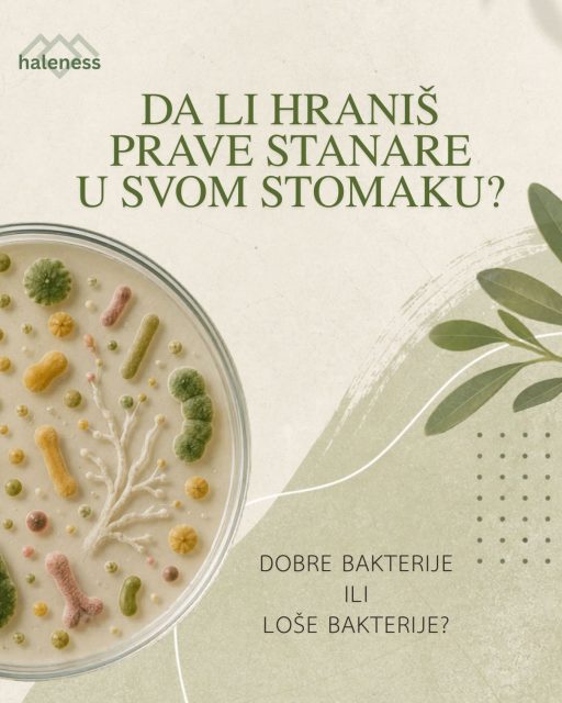 Da li hraniš „prave” stanare u svom stomaku? 🦠

Nauka je upravo postala lična.

Nedavno objavljena studija u prestižnom časopisu Nature (ZOE Microbiome Ranking) identifikovala je listu od 50 „dobrih” i 50 „loših” bakterija koje direktno utiču na naše zdravlje, nivo energije i dugovečnost.

https://www.nature.com/articles/s41591-020-01183-8

Šta su naučnici otkrili? 👇

🟢 „Dobre” bakterije (poput *Akkermansia muciniphila*) obožavaju vlakna i polifenole. One podržavaju metabolizam, pomažu u održavanju zdrave telesne težine i povezane su sa manjim nivoom upala.

🔴 „Loše” bakterije bolje uspevaju uz visoko prerađenu hranu i velike količine šećera i povezane su sa nepovoljnijim metaboličkim pokazateljima.

A možda najzanimljivije od svega? Mnoge od ovih „super-bakterija” do skoro su bile potpuno nepoznate nauci.

Dobra vest ✨
Tvoj mikrobiom nije sudbina. On je ekosistem koji može da se menja.

Jedna od ideja koju istraživanja često ističu jeste više raznovrsnih biljnih namirnica tokom nedelje i hrana bogata polifenolima. Cilj koji se često pominje je raznovrsnost, ne savršenstvo 🌱

Tvoj stomak je mala unutrašnja laboratorija. Pitanje je samo: šta trenutno proizvodi?

Piši nam u komentarima 👇
Da li vodiš računa o zdravlju creva ili ti je to još uvek „špansko selo”?