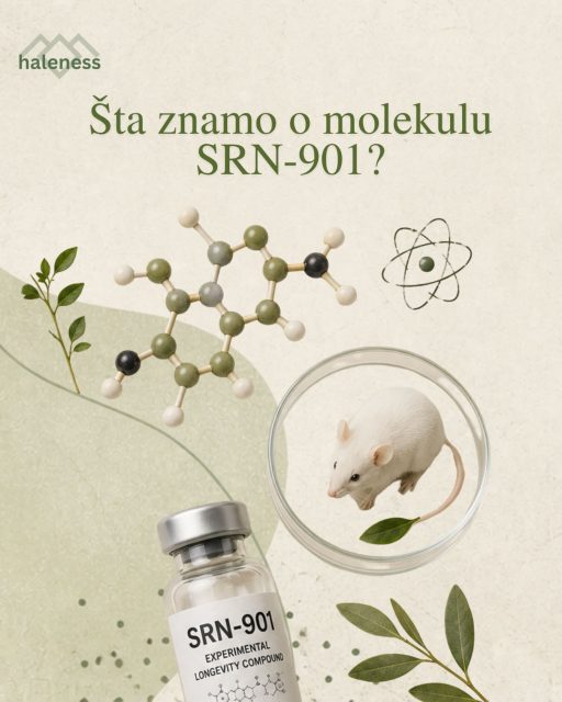 🧬 Šta znamo o molekulu SRN-901?

Nedavni podaci iz pretkliničkih studija privukli su pažnju naučne zajednice na jedinjenje pod nazivom SRN-901.

Za razliku od suplemenata koji ciljaju samo jedan metabolički put, ovo istraživanje ispituje širi uticaj na biološke markere starenja.

🔬 Ključni nalazi:

• U kontrolisanim studijama na miševima starosti 18 meseci (što približno odgovara ljudskoj dobi od oko 60 godina), SRN-901 je povećao prosečan životni vek za čak 33%.

• Pored same dugovečnosti, zabeleženi su pozitivni efekti na fizičku izdržljivost i metaboličke parametre, što ukazuje na potencijalni uticaj na takozvani „zdravstveni vek“ (healthspan).

• Istraživači smatraju da SRN-901 deluje na više ključnih „stubova starenja“ (hallmarks of aging) istovremeno, što predstavlja značajan pomak u odnosu na dosadašnje pristupe koji ciljaju samo jedan mehanizam.

⚠️ Važna napomena:

Iako su rezultati na životinjskim modelima obećavajući, SRN-901 je i dalje u fazi istraživanja. Prelazak sa animalnih modela na kliničke studije na ljudima zahteva rigoroznu proveru bezbednosti i efikasnosti.

📚 Izvor:
https://longevity.technology/news/new-longevity-drug-srn-901-shows-33-lifespan-boost