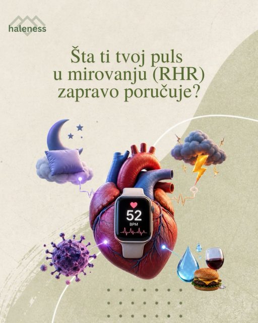 ❤️ Šta ti tvoj puls u mirovanju (RHR) zapravo poručuje?

Ako nosiš pametni sat ili prsten, verovatno svakodnevno vidiš brojku pored skraćenice RHR. Ali, da li znaš da taj broj može biti tvoj „rani sistem upozorenja“? 👀

🫀 Šta je zapravo RHR?

To je broj otkucaja srca u minuti dok si u stanju potpunog odmora, idealno odmah nakon buđenja, pre nego što ustaneš iz kreveta. On pokazuje koliko efikasno tvoje srce pumpa krv bez dodatnog napora.

📊 Šta nam govore brojke?

Iako je standardni medicinski opseg od 60 do 100 otkucaja, u svetu optimizacije zdravlja i dugovečnosti težimo nižim vrednostima:

• Sportisti i veoma fit osobe: često imaju RHR između 40 i 50.
• Optimalno za zdravu osobu: između 50 i 65 otkucaja u minuti.

⚠️ Zašto tvoj RHR odjednom skače?

Ako primetiš da ti je puls u mirovanju za 5 do 10 otkucaja viši nego obično, tvoje telo ti nešto javlja:

1. Pretreniranost: Tvom telu je potreban oporavak, nisi se regenerisao od prošlog treninga.
2. Dolazeća bolest: RHR često skoči 24 do 48 sati pre nego što osetiš prve simptome gripa ili virusa.
3. Stres i loš san: Tvoj nervni sistem je u "fight or flight" modu.
4. Dehidratacija ili kasni obroci: Alkohol ili teška hrana pred spavanje primoravaju srce da radi "prekovremeno" dok ti spavaš.

💪 Kako da ga spustiš (i ojačaš srce)?

• Aerobni trening (Zona 2): Lagano trčanje, brzi hod ili plivanje čine srce većim i jačim.
• Kvalitetan san: Dosledno vreme odlaska u krevet direktno smanjuje RHR.
• Magnezijum i hidratacija: Ključni za pravilan rad srčanog mišića.

✨ Zaključak:

RHR nije samo broj. To je metrika tvog unutrašnjeg mira, oporavka i kondicije. Ako želiš da živiš dugo i kvalitetno, neka ti cilj bude jako srce koje kuca polako i efikasno.

Koliki je tvoj prosečan RHR ujutru? Da li si primetio/la kako se menja kada si pod stresom? Piši mi u komentarima! 👇