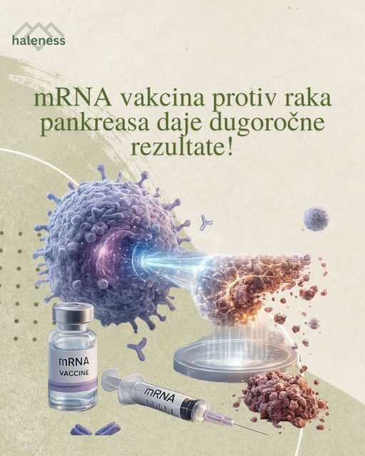 mRNA vakcina protiv raka pankreasa daje dugoročne rezultate

Većina ljudi povezuje mRNA tehnologiju sa vakcinama protiv virusa. Međutim, njena potencijalno najvažnija primena možda tek dolazi.

Najnoviji podaci iz kliničkih ispitivanja koje sprovodi Memorial Sloan Kettering Cancer Center pokazuju ohrabrujuće rezultate u lečenju raka pankreasa, jednog od najagresivnijih i najsmrtonosnijih oblika raka.

Šta su pokazali rezultati?

🔬 Kod pacijenata koji su primili personalizovanu mRNA vakcinu, imuni sistem je naučio da prepozna i napadne ćelije raka.

🛡️ Dugoročna zaštita: Kod ispitanika koji su razvili snažan imuni odgovor, rak se nije vratio ni nakon tri godine praćenja.

🧬 Trening za T ćelije: Vakcina je podstakla stvaranje T ćelija koje ostaju aktivne godinama i spremne su da reaguju ukoliko se tumor ponovo pojavi.

Zašto je ovo važno?

Rak pankreasa se decenijama smatra jednim od najtežih karcinoma za lečenje zbog brzog širenja i kasnog otkrivanja. Ovakav pristup ne cilja samo tumor, već koristi sopstveni imuni sistem kao dugoročnu liniju odbrane.

Iako su potrebna veća istraživanja i duže praćenje pacijenata, ovi rezultati predstavljaju važan korak ka personalizovanoj medicini budućnosti.

Pitanje za vas:

Da li verujete da će mRNA tehnologija tokom naredne decenije značajno promeniti način na koji lečimo rak?

Izvor: Memorial Sloan Kettering Cancer Center / NBC News
https://www.nbcnews.com/health/cancer/pancreatic-cancer-mrna-vaccine-shows-lasting-results-early-trial-rcna331969