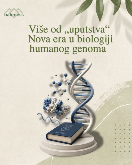 Godinama smo učili da samo mali deo naše DNK služi kao uputstvo za stvaranje proteina. Sve ostalo smatralo se uglavnom regulatornim sistemom koji upravlja radom gena. 🧬📚

Međutim, naučnici su u maju 2026. godine zvanično potvrdili postojanje hiljada novih molekula nazvanih peptidini (peptideins), nastalih iz delova genoma za koje se dugo verovalo da ne mogu stvarati proteine.

Zašto je ovo važno?

✔ Otkriće menja dosadašnje shvatanje ljudskog genoma.
✔ U naučne baze podataka dodato je više od 1.700 novih funkcionalnih molekula.
✔ Istraživanja pokazuju da ih imuni sistem prepoznaje, što otvara nove mogućnosti za razvoj budućih terapija.

Ovo nije samo novo poglavlje biologije. Ovo je podsetnik da ljudsko telo i dalje krije tajne koje tek počinjemo da razumemo. 🧬

https://www.nature.com/articles/d41586-026-01492-x