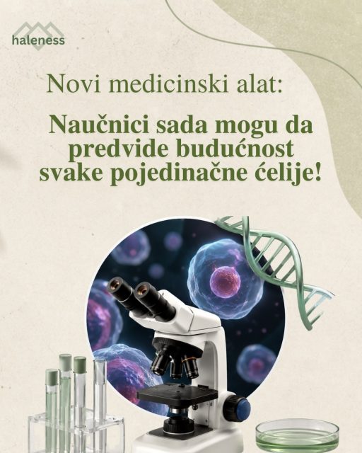 🧬 Novi medicinski alat: Naučnici sada mogu da "vide" budućnost ćelija 🔬✨

Istraživači sa Univerziteta Rokfeler razvili su novu tehnologiju PerturbFate, koja omogućava praćenje pojedinačnih ćelija i predviđanje u šta će se one razviti. 🤯

Zamislite učionicu punu dece. 👧👦 Teško je na prvi pogled reći ko će od njih postati lekar, ko programer, a ko umetnik. Ali zamislite da imate uređaj koji može da analizira svako dete pojedinačno, njegove talente, navike i promene kroz koje prolazi, i da vam sa velikom tačnošću kaže u šta će izrasti. Upravo to PerturbFate radi, ali na nivou naših ć cells. 🧬

Ovo bi moglo da promeni način na koji otkrivamo bolesti, jer naučnici sada mogu da vide zašto neke ćelije "skrenu s puta" i postanu uzrok bolesti, kao i da preciznije testiraju nove terapije i lekove. 💙💡

🔗 https://www.sciencedaily.com/releases/2026/05/260520093726.htm