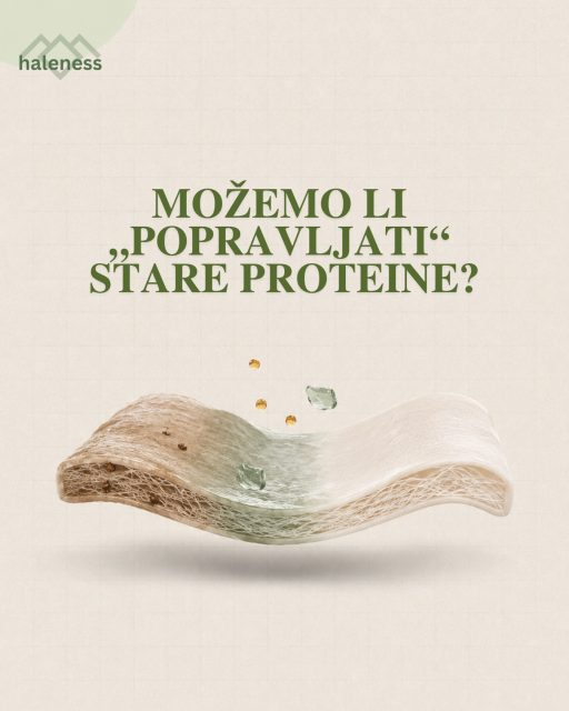 🧬 MOŽEMO LI „POPRAVLJATI“ STARE PROTEINE?

Naučnici iz Calico Life Sciences, Revel Pharmaceuticals i Kolorado Univerziteta razvili su enzim CMLase, koji može da ukloni CML, jednu vrstu oštećenja koja se sa godinama akumulira na dugovečnim proteinima.

🔬 Zašto je ovo važno?

Umesto da oštećeni protein razgradimo i zamenimo, možda ćemo jednog dana moći da ga popravimo i funkcionalno „podmladimo“.

Ovakav pristup mogao bi biti posebno zanimljiv za dugovečne proteine poput kolagena, čije se oštećenje povezuje sa starenjem krvnih sudova, kože, bubrega i vezivnih tkiva.

🧪 CMLase je samo jedan enzim za jednu vrstu oštećenja. Ali šta ako razvijemo čitavu biblioteku enzima koji popravljaju različita oštećenja starih proteina?

💭 Možda budućnost longevity medicine nije samo u usporavanju starenja, već i u popravljanju štete koja se već dogodila.

Originalni rad – Nature Communications:
https://www.nature.com/articles/s41467-026-75141-2