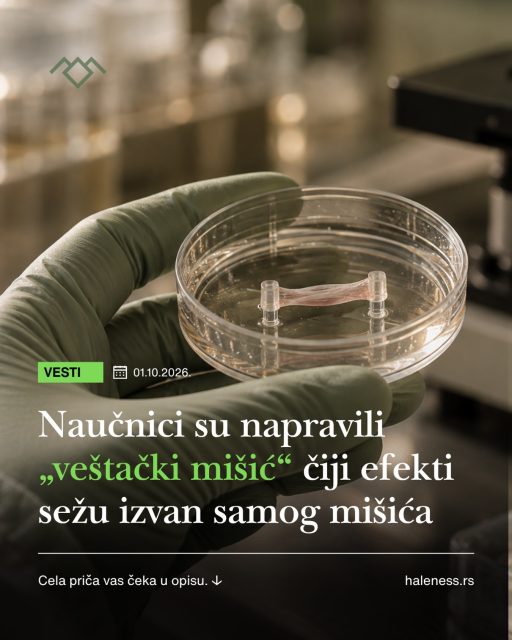 🧬 Naučnici su napravili „veštački mišić“ koji proizvodi efekte daleko izvan samog mišića

Jedna od zanimljivijih novih ideja u istraživanjima dolazi iz bioinženjeringa.

Istraživači su napravili laboratorijski uzgojeno mišićno tkivo i implantirali ga starim miševima.

[www.nature.com/articles/s43587-026-01190-3](http://www.nature.com/articles/s43587-026-01190-3)?

Tkivo se povezalo sa krvotokom i nastavilo da funkcioniše kao aktivan mišić. Ali, onda se dogodilo nešto još zanimljivije. Efekti nisu ostali samo na mestu implantacije.

🔬 Poboljšani su pojedini pokazatelji **metabolizma, funkcije mišića i regeneracije organizma**.

Zašto? Mišići nisu samo „motori“ koji pomeraju naše telo. Kada rade, oni oslobađaju čitav niz signalnih molekula koji putem krvi komuniciraju sa drugim organima.

Zato ova tehnologija otvara fascinantnu mogućnost:

U budućnosti možda nećemo uzgajati tkiva samo da bismo zamenili oštećene organe.

Mogli bismo ih implantirati kao svojevrsne **biološke fabrike koje proizvode korisne signale za ostatak organizma.**

🐁 Za sada – miševi.