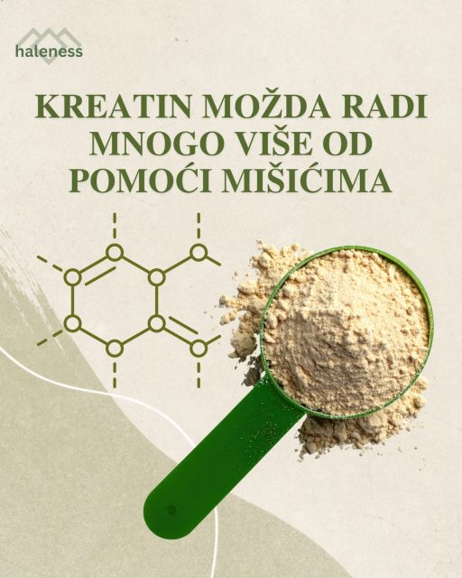 Nova studija iz 2026. pokazuje da kreatin može imati važnu ulogu u funkcionisanju dendritskih ćelija 🧬 imunskih ćelija koje pomažu aktivaciju T-ćelija u borbi protiv pretnji kojima smo izloženi, uključujući ćelije tumora.

Istraživači su otkrili da dendritske ćelije koje se nalaze unutar tumora povećavaju unos kreatina:

⚡ Više kreatina → bolja energetska podrška ćelijama
🧬 Jača aktivacija dendritskih ćelija
🛡️ Bolja aktivacija CD8+ T-ćelija koje napadaju tumorske ćelije

Posebno zanimljivo: suplementacija kreatinom usporila je rast melanoma kod miševa. 🐭

Istraživači su takođe pokazali da kreatin poboljšava aktivaciju i imunostimulatornu funkciju ljudskih dendritskih ćelija u laboratorijskim uslovima.

⚠️ Ovo NE znači da je dokazano da kreatin sprečava ili leči rak kod ljudi. Za to su potrebne kliničke studije.

Ali istraživanje otkriva još jednu potencijalno važnu ulogu jednog od najistraživanijih suplemenata 💡 podršku metabolizmu i funkciji imunskih ćelija.

https://pubmed.ncbi.nlm.nih.gov/42006288/